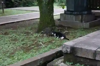 法明寺(東京都)