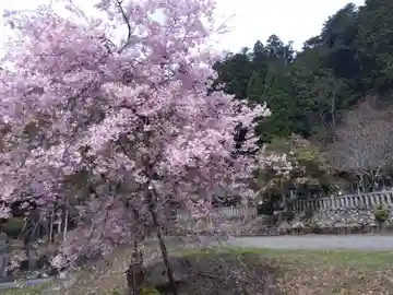 熊野神社(京都府)