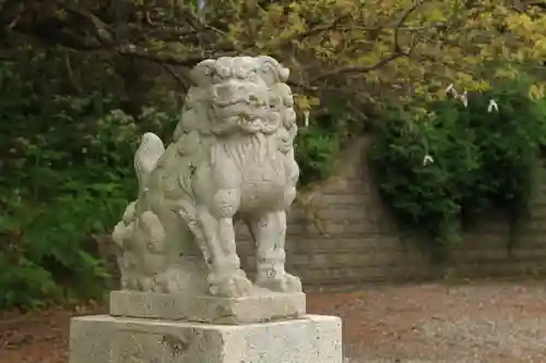 住吉神社の狛犬