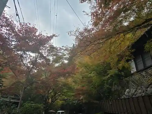 貴船神社奥宮(京都府)