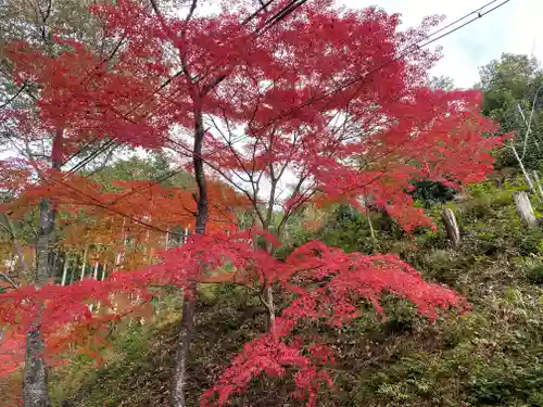 高蔵寺(兵庫県)