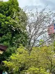 三輪神社(愛知県)