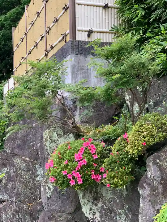 陽林寺(神奈川県)