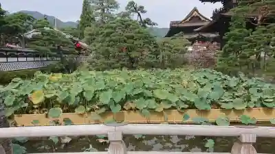 善光寺大勧進(長野県)