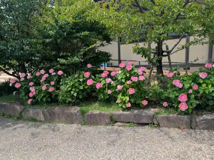 光明寺(神奈川県)
