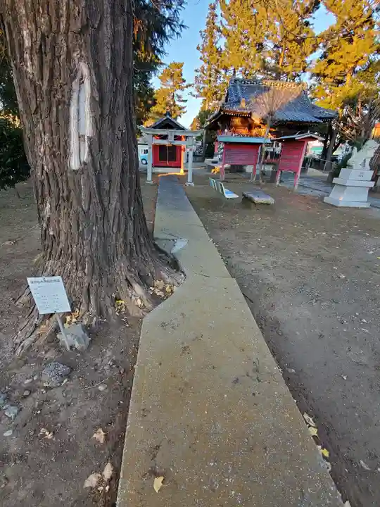 子神社のその他建物