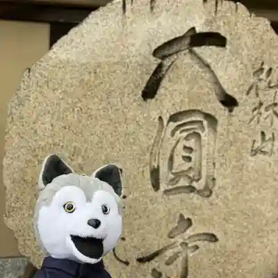 大圓寺(東京都)