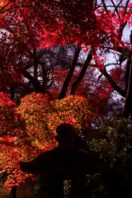 宇治上神社(京都府)