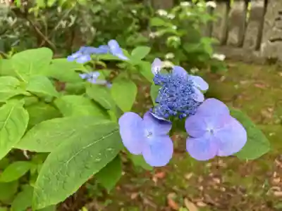 惣河内神社の自然