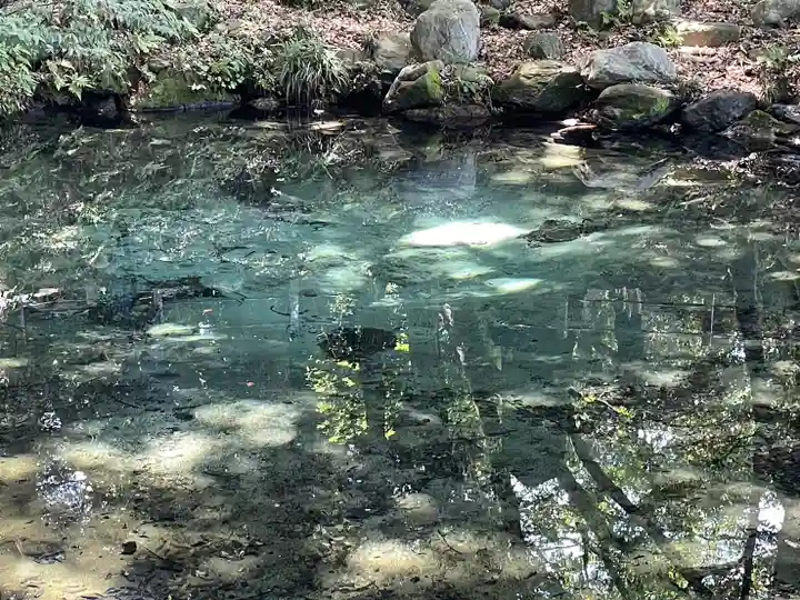 泉神社(茨城県)