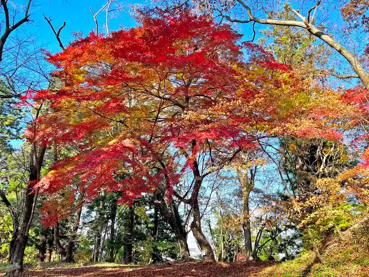 愛宕神社(山形県)