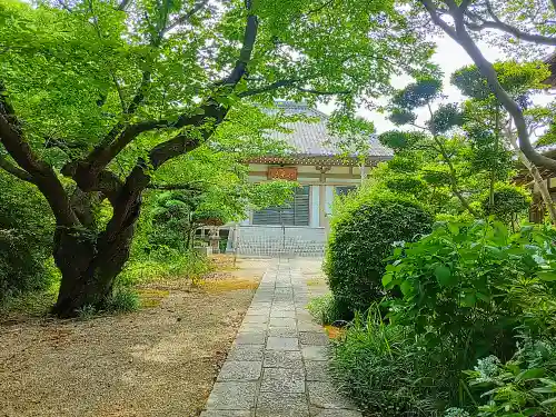 白毫寺の本殿・本堂