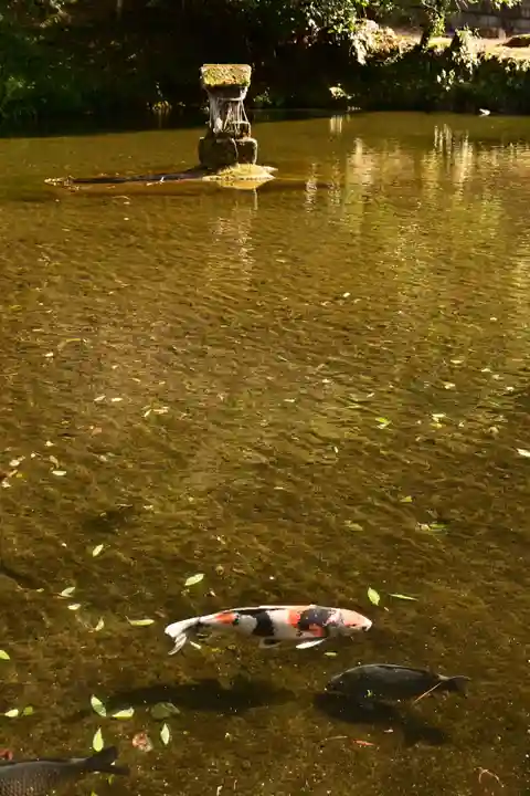高千穂神社(宮崎県)