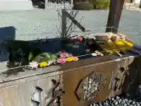 成田山川越別院の{uncategorized: "未分類", other: "その他", undefined: "問題あり", building: "その他建物", grave: "お墓", sacred_gate: "鳥居", guardian: "狛犬", statue: "像", buddha: "仏像", history: "歴史", nature: "自然", garden: "庭園", animal: "動物", pagoda: "塔", temizu: "手水舎", mountain_gate: "山門・神門", sanctuary: "本殿・本堂", subordinate: "末社・摂社", art: "芸術", scenery: "景色", jizo: "地蔵", ema: "絵馬", goshuin: "御朱印", omikuji: "おみくじ", items: "授与品その他", amulet: "お守り", goshuincho: "御朱印帳", eats: "食事", festival: "お祭り", votive_dance: "神楽", shichigosan: "七五三参", wedding: "結婚式", experience: "体験その他", initially: "初詣", around: "周辺", anti_infection: "感染症対策"}