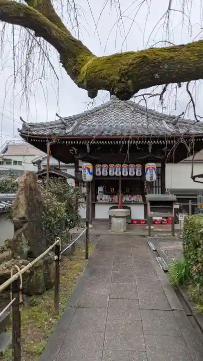 地蔵院(椿寺)(京都府)