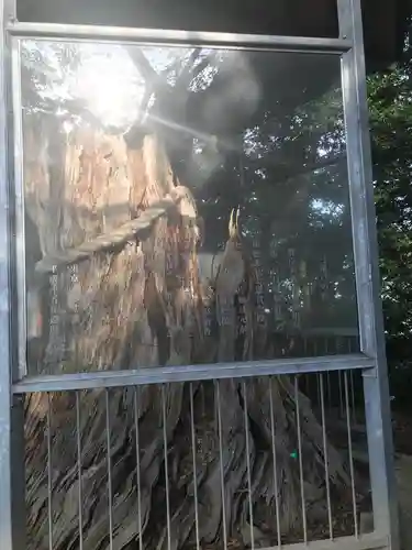 長浜神社の自然