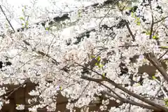 坐摩神社(大阪府)