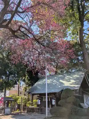 田端神社(東京都)