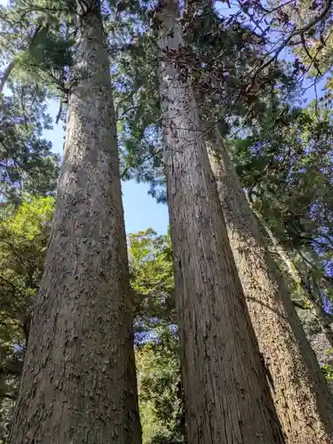 笠森寺(千葉県)