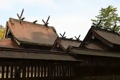 出雲大社(島根県)