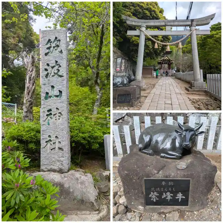 筑波山神社(茨城県)