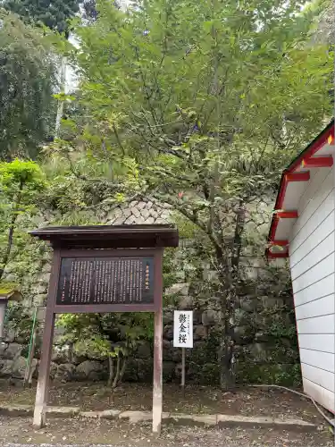 金櫻神社(山梨県)
