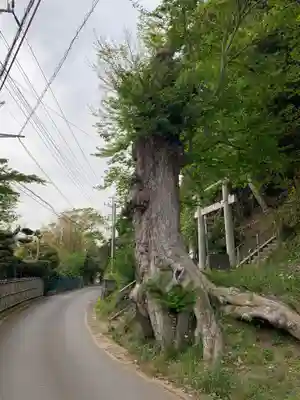 稲荷神社(千葉県)