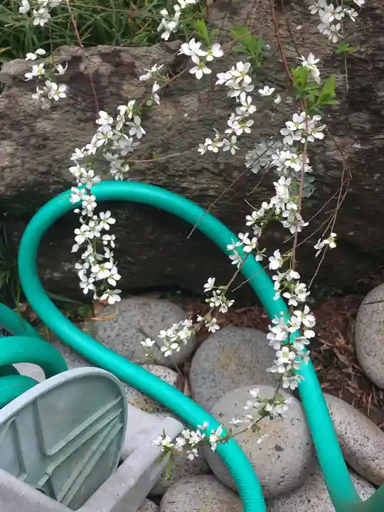 浄智寺(神奈川県)