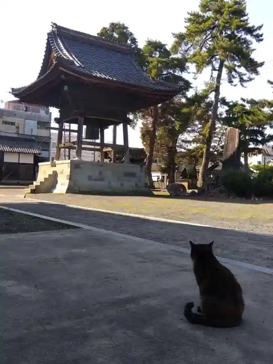 正覚寺(福井県)