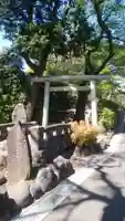 富士淺間神社の鳥居