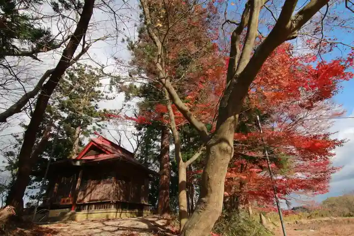 東館稲荷神社の自然