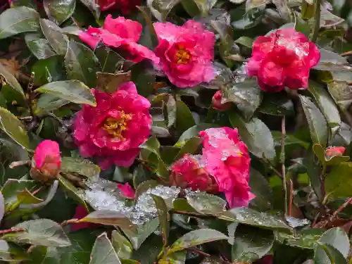 大聖寺(岡山県)