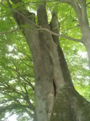 八王子神社(岐阜県)
