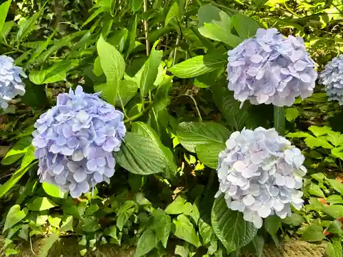 酒列磯前神社(茨城県)