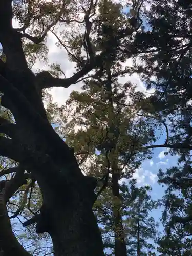 事任八幡宮の自然