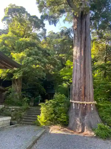 菅生石部神社(石川県)