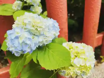 川越八幡宮(埼玉県)
