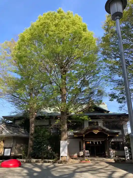 前鳥神社(神奈川県)