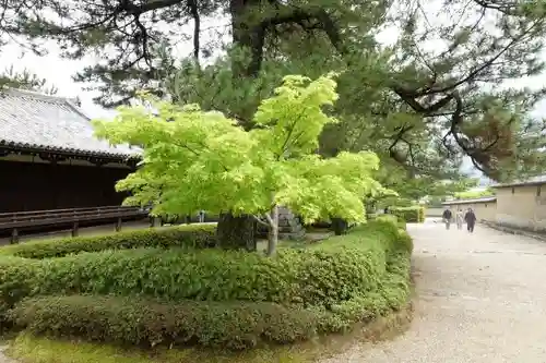 法隆寺の庭園