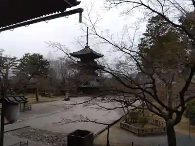 真正極楽寺(真如堂)(京都府)
