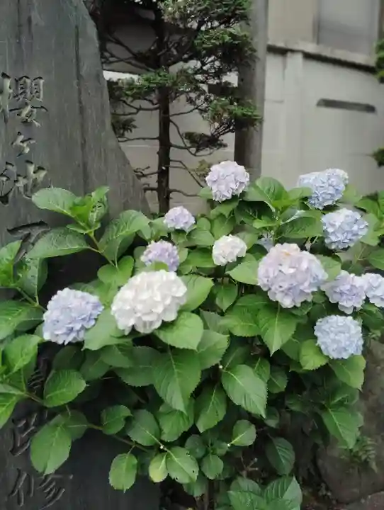 東光寺別院桜ヶ池不動院(東京都)