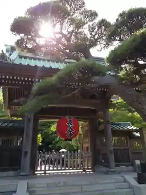 長谷寺の山門・神門
