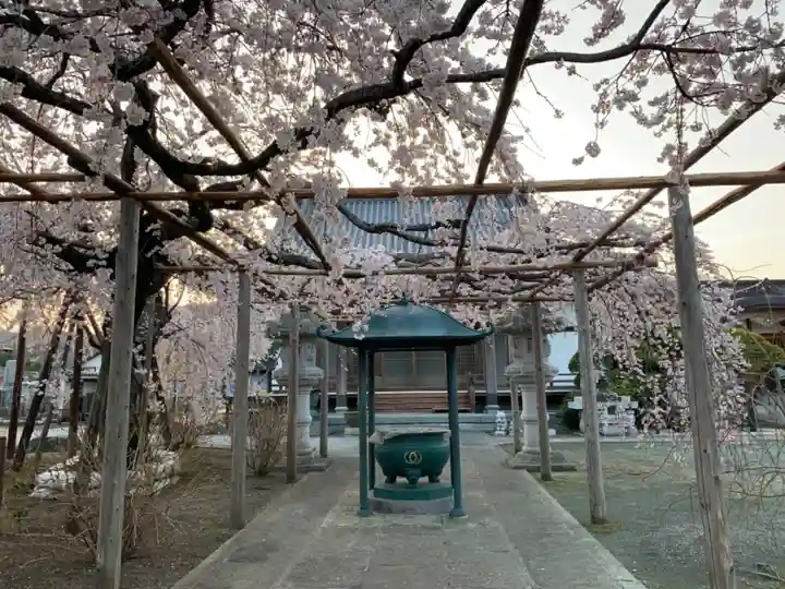 西光院(浄楽寺)のその他建物
