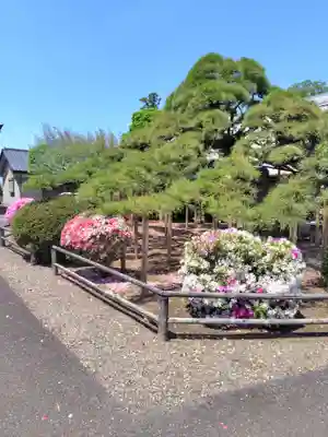 養寿寺(群馬県)