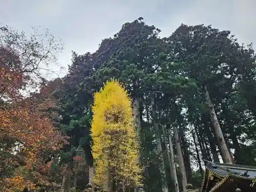 日光山輪王寺 大猷院(栃木県)