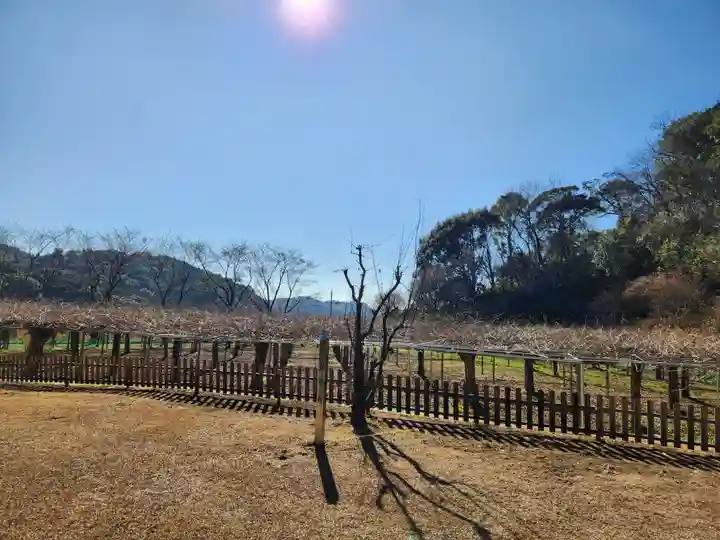 和気神社の周辺