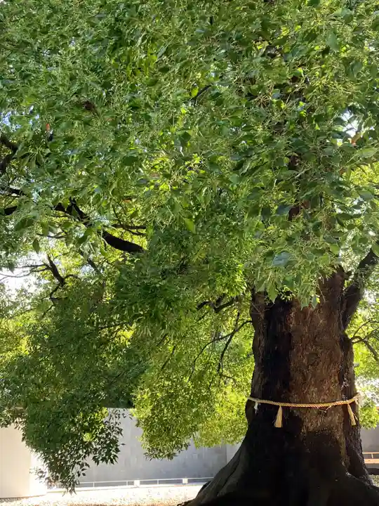 上野東照宮(東京都)