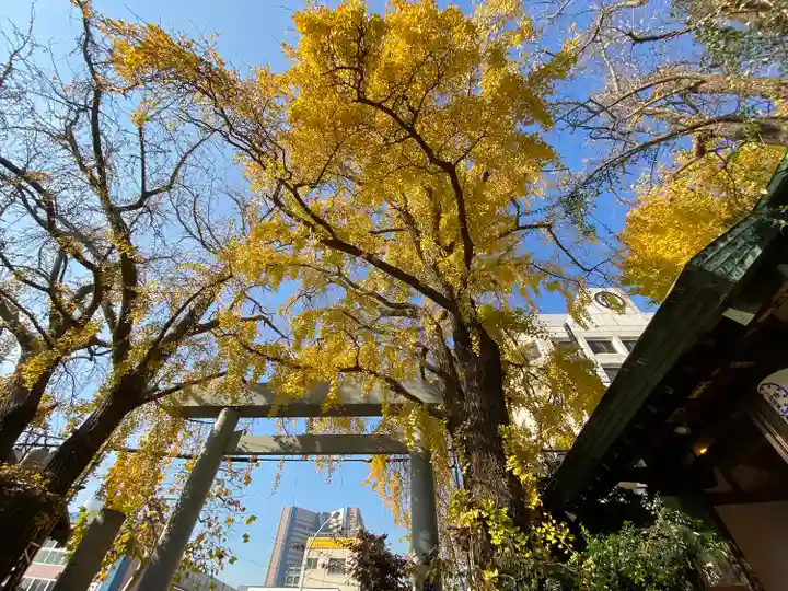 波除神社(波除稲荷神社)の鳥居