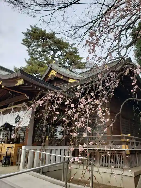 布多天神社(東京都)