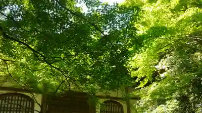 地蔵院のその他建物